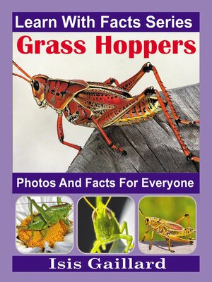 cover image of Grasshopper Photos and Facts for Everyone